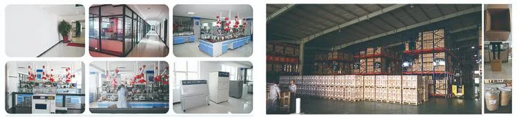 1/6copolymer of Vinyl Chloride and Vinyl Isobutyl Ether CMP45