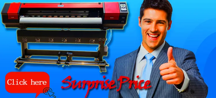1.6m Eco Solvent Printer Dx11
