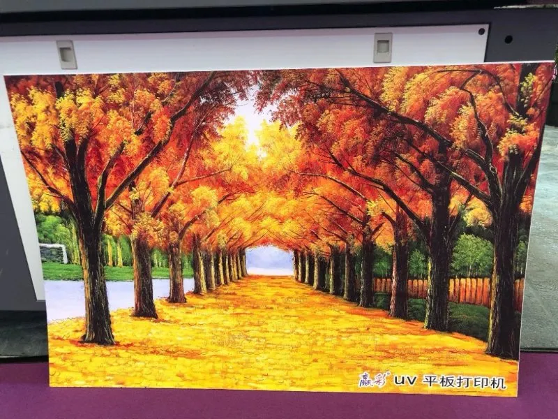 Ce Hybrid and Roll to Roll Printer with Ricoh Gen6