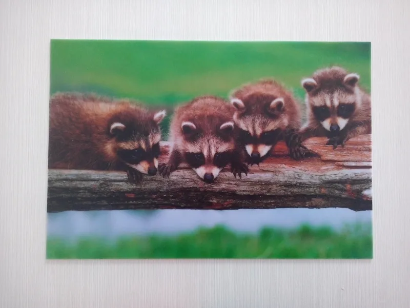 Ce Hybrid and Roll to Roll Printer with Ricoh Gen6