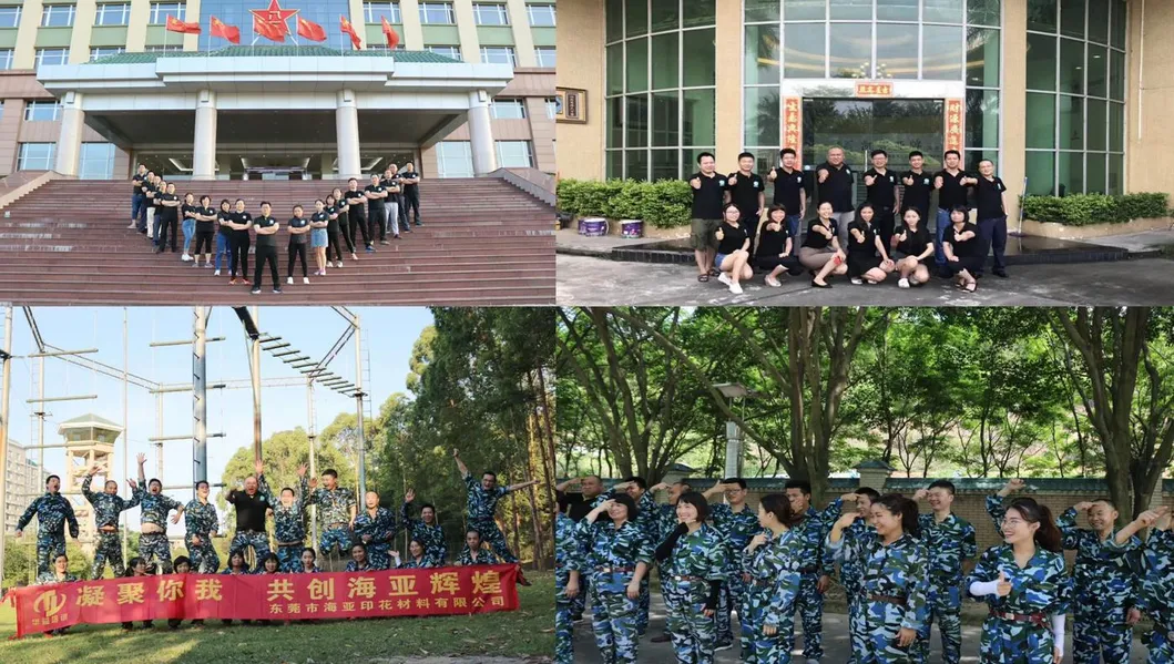 Water Based Pigment Ink with Bright Color for Tshirt Printing