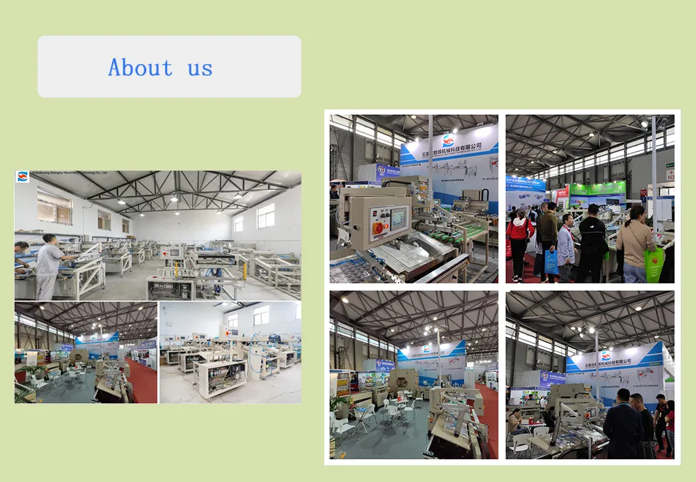 HY-H56 Single Sheet Fully Automatic Packaging Screen Printing Machine