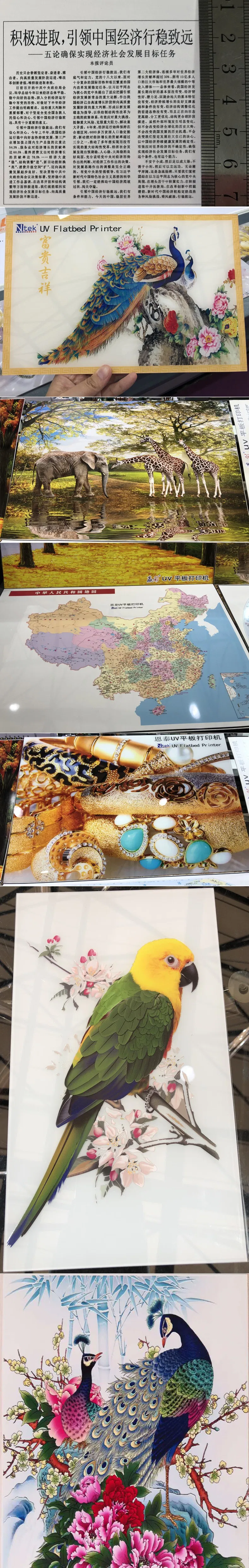 Small Flatbed UV Printer 6090 Printing on Glass