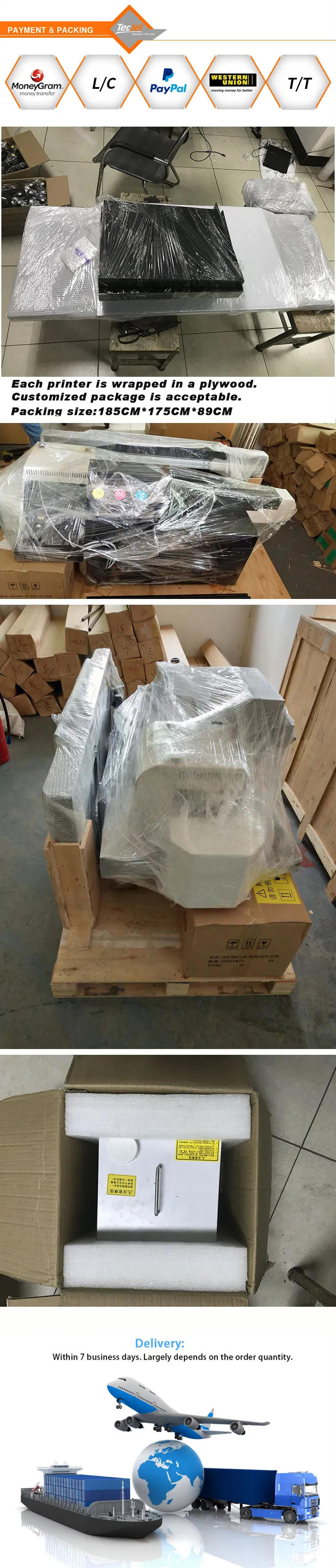 Tecjet Tshirt Printing Machine Digital 6090 DTG Printer